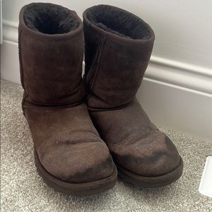 Brown uggs size 6